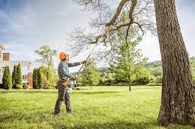 Best Arborist Consultation Services  in Rimersburg, PA