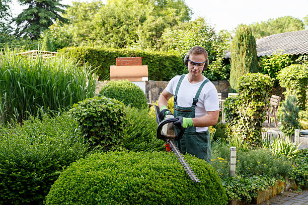 Best Leaf Removal  in Rimersburg, PA